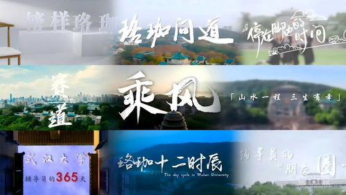 以心鑄魂 用情筑夢 著力培養堪當大任的時代新人