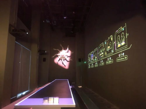 五一來(lái)大理,看 可文可潮 的撒野計(jì)劃